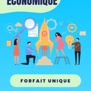 pack économique SEO forfait unique moska group